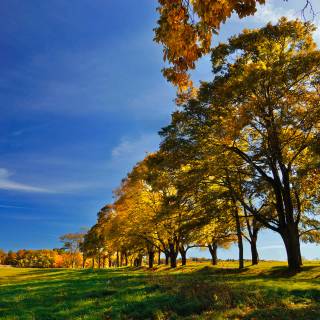 Countryside in the fall wallpaper