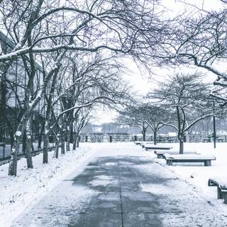 Snow place wallpaper