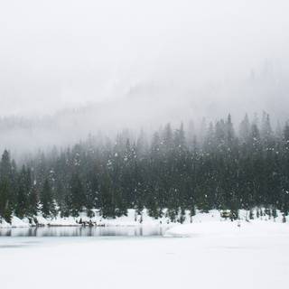 Snow place wallpaper