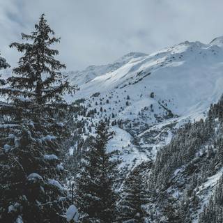 Snow place wallpaper