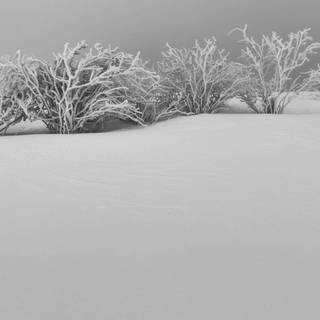 Snow place wallpaper