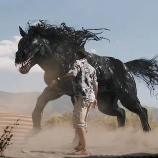 Venom: The Last Dance wallpaper