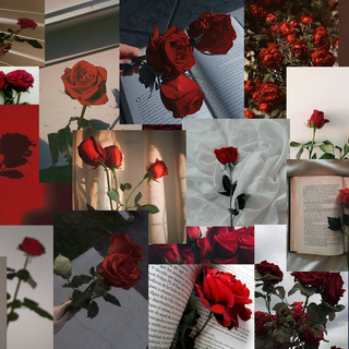 Rose flower collage wallpaper