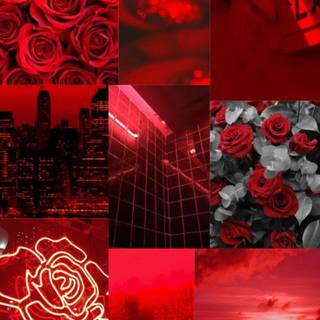 Rose flower collage wallpaper