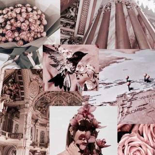 Rose flower collage wallpaper