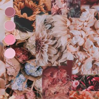 Rose flower collage wallpaper