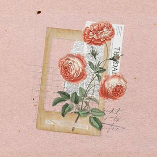 Rose flower collage wallpaper