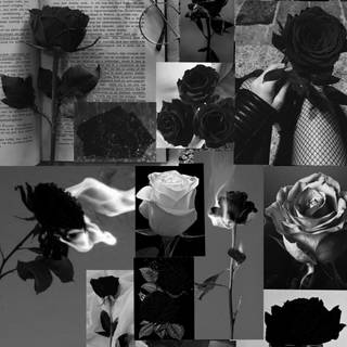 Rose flower collage wallpaper