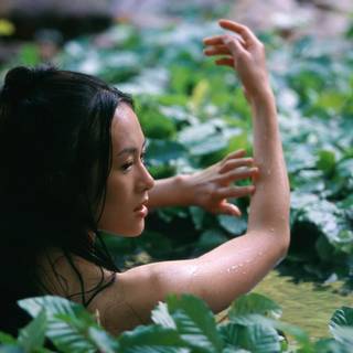 House of Flying Daggers wallpaper