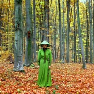 House of Flying Daggers wallpaper