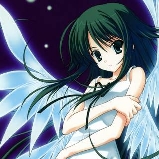Anime girl with wings wallpaper