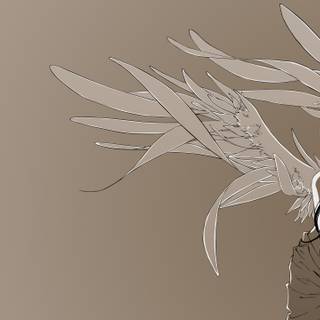 Anime girl with wings wallpaper