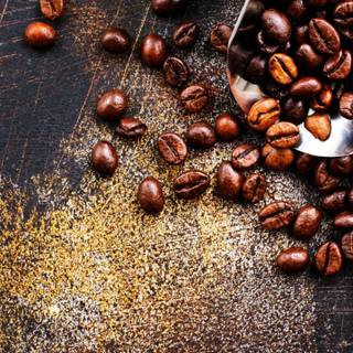 iPhone barista wallpaper