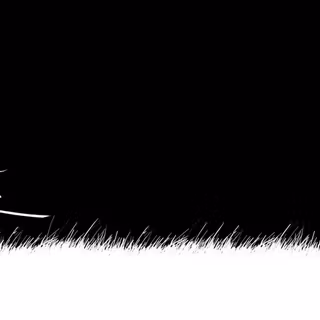 PC white and black samurai anime wallpaper