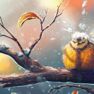 Desktop nature birds HD wallpaper