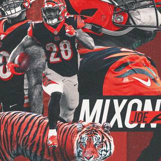 Joee Mixion wallpaper