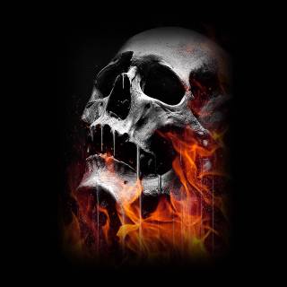 Skeletons 4k wallpaper