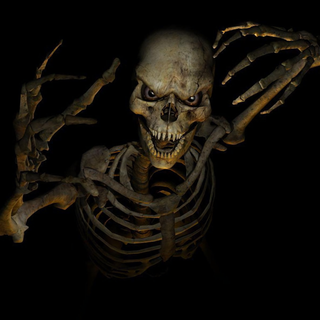 Skeletons 4k wallpaper