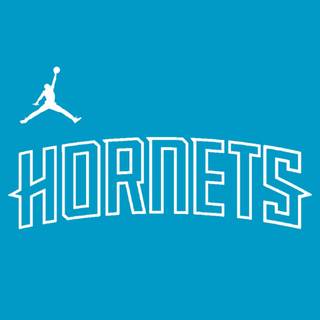 Charlotte Hornets iPhone wallpaper