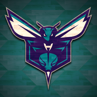 Hornets 4k wallpaper