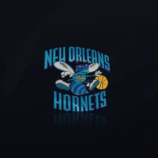 Hornets 4k wallpaper