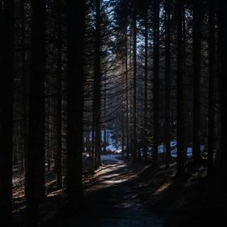 Dark scene 4k wallpaper