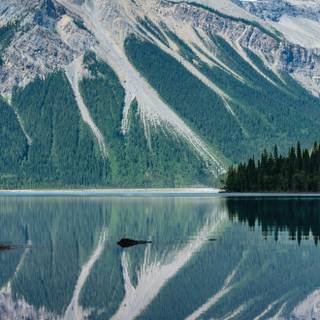 iPhone 16 Pro 4k wallpaper