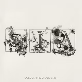 Album phone wallpaper