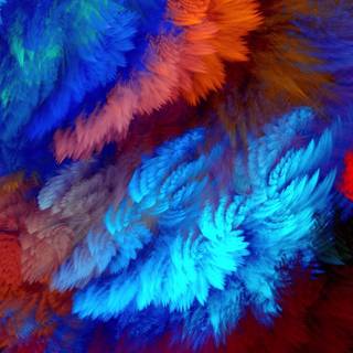 Feather iPhone wallpaper