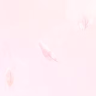 Feather iPhone wallpaper