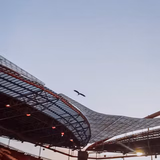 Benfica iPhone wallpaper