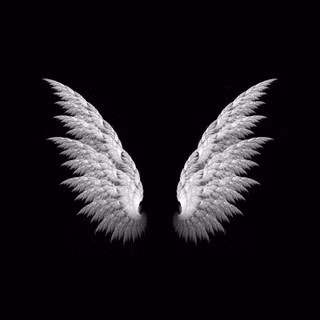 Feather iPhone wallpaper