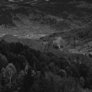 Nature dark iPhone wallpaper