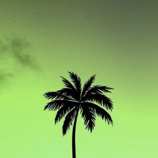 Nature dark iPhone wallpaper