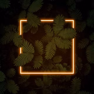 Nature dark iPhone wallpaper