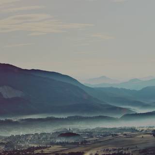 Nature dark iPhone wallpaper