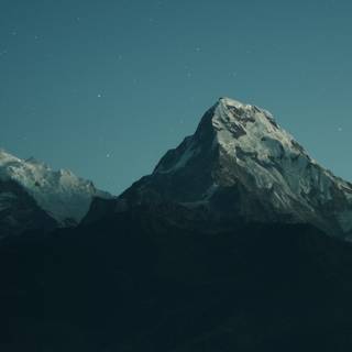 Nature dark iPhone wallpaper