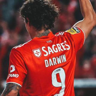 Benfica iPhone wallpaper