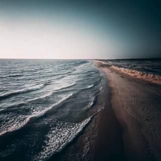 Nature dark iPhone wallpaper