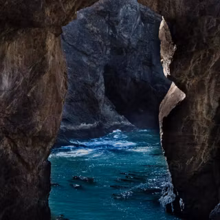 Nature dark iPhone wallpaper