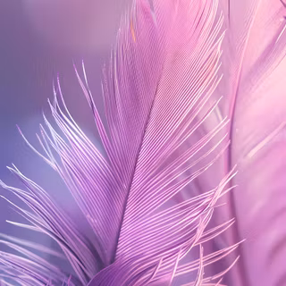 Feather iPhone wallpaper