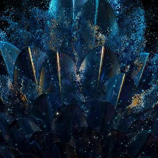 Feather iPhone wallpaper