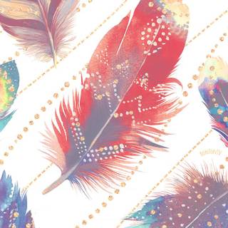 Feather iPhone wallpaper