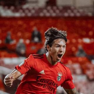 Benfica iPhone wallpaper