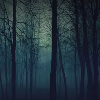 Nature dark iPhone wallpaper