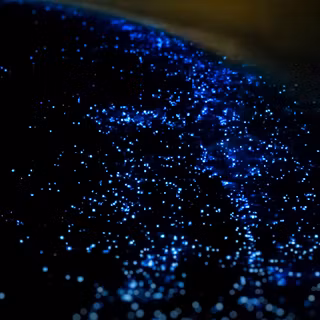 Nature dark iPhone wallpaper