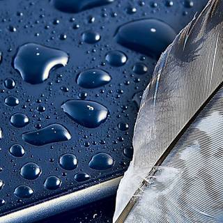 Feather iPhone wallpaper