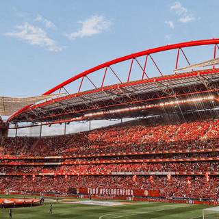 Benfica iPhone wallpaper