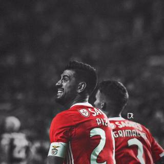 Benfica iPhone wallpaper