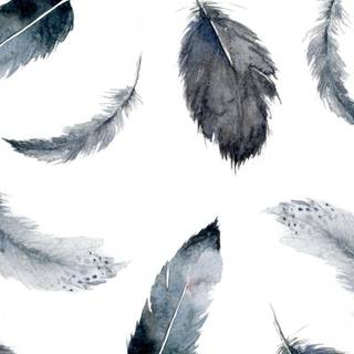 Feather iPhone wallpaper